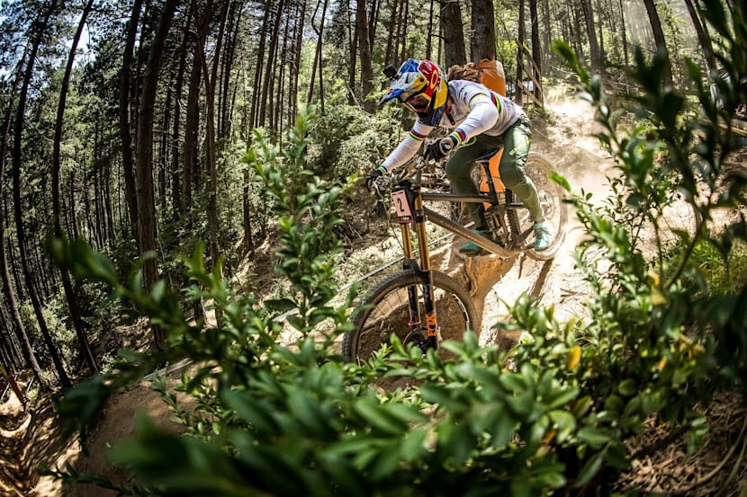 downhill world cup 2019