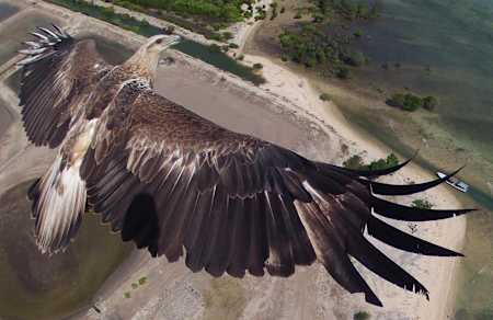 Din unghiul unei pasari!