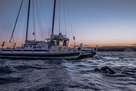 Ross swims along side his support boat at dusk during Great British Swim.