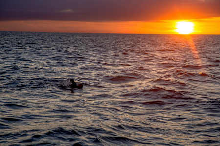 Ross Edgley swims in English Waters on his way back to the starting point of Margate during his Great British Swim attempt.