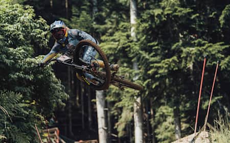 Downhill dirt jumper 2025