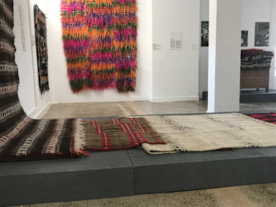 Expoziția ”Lână și apă” la Muzeul Textilelor din Hărțăgani, 2019
