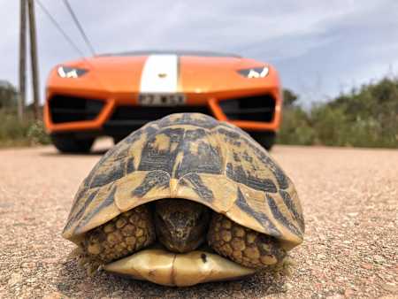 MrJWW exclusive column for Red Bull for May 2017