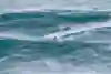 Lucas Chianca surfing at the Nazare Big Wave Challenge