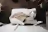 Person sleeps in bed at home.