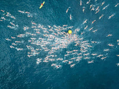 Surfing Whale Beach, Australia