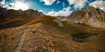 Hard on the legs, easy on the eyes