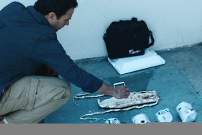 Journalist Carlos Loret De Mola photographing a totoaba swim bladder.