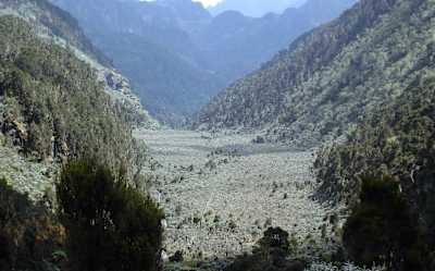 El Upper Bigo Bog en el Parque Nacional Ruwenzori de Uganda.
