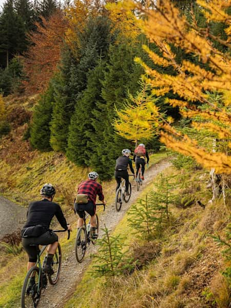 Gravel Bike Cycling Shorts Wild Fire