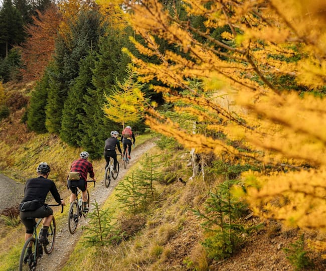 gravel cycling for beginners