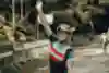Evie Richards is seen at the XCC World Cup race in Petropolis, Brazil on April 8, 2022