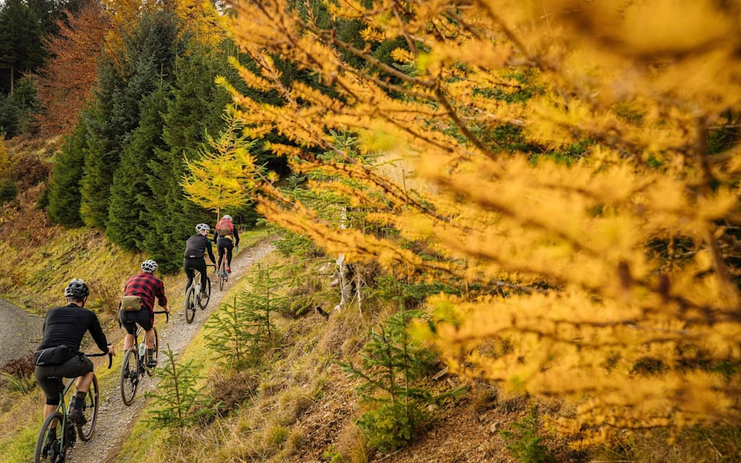 glentress red route
