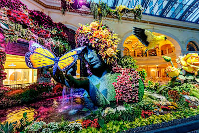 The Conservatory at Bellagio: a botanical oasis.