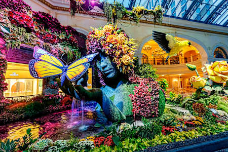 The Conservatory at Bellagio: a botanical oasis.