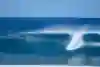 Caitlin Simmers surfing at Backdoor during the 2024 Lexus Pipe Pro