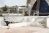 Diogo Santos gaps from the stairs over the rail