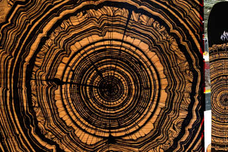 エコ・ウォリアー：Jones “Ultra Mountain Twin”