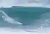 Clement Roseryo surfing at the Nazare Big Wave Challenge