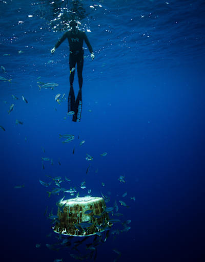 Ben Lecomte nada bajo el agua dentro de la gran isla de plástico.