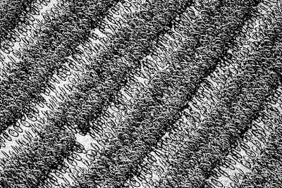 The uniqueness of this image almost seems like abstract art and it represents of all the fans that come out to watch.