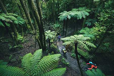 New Zealand’s Te Tihi o Tawa bike trail