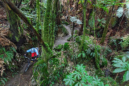 The Rocky Horror bike trail in New Zealand.
