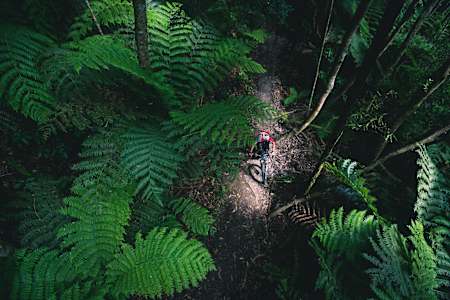 The Hatupatu bike trail in New Zealand.
