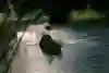 豪快なライディングを見せたゲオルギー