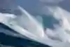 After spending almost a year recovering from a near-career-ending injury, Billy Kemper returned to Jaws for the first time on December 2, 2020.