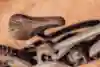 Close up of the Chromag Saddle on Kurt Sorge's Evil Bikes Insurgent MTB.