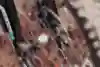 Close up of the brake rotors on Jaxson Riddle's Transition TR11 MTB.