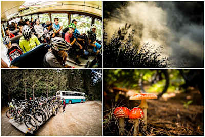 The magic of Rotorua