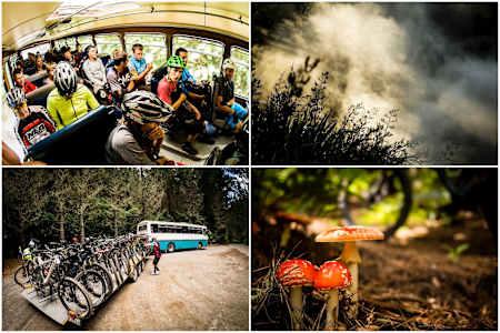 The magic of Rotorua