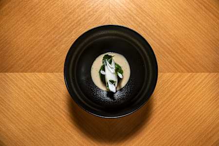 Jeseter, kedlubna, medvědí česnek, begónie.