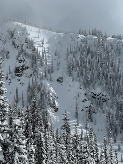 Natural Selection Tour course from West Side entry at Revelstoke as seen before the 2024 competition.