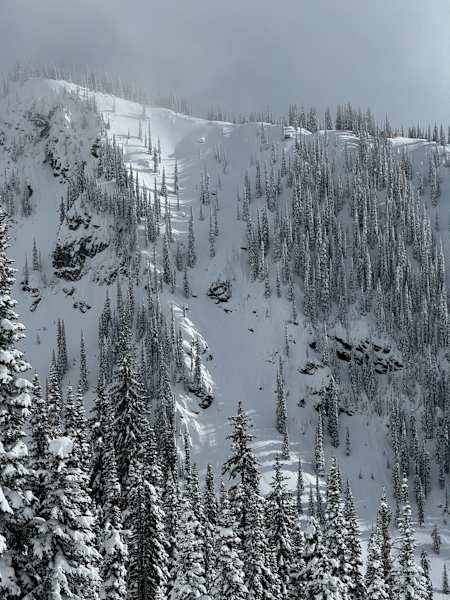 Natural Selection Tour course from West Side entry at Revelstoke as seen before the 2024 competition.
