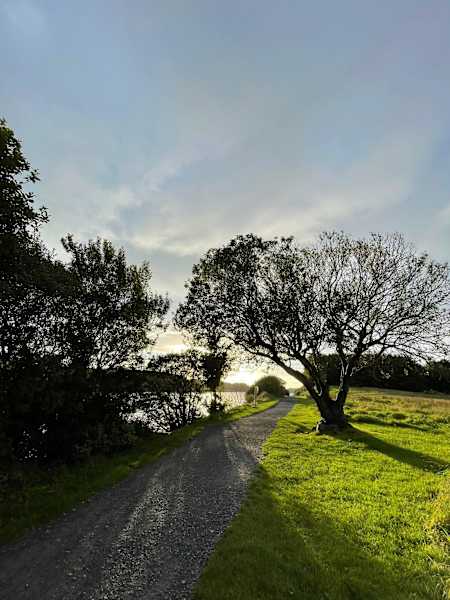 Galway running route, central to Dangan