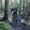 Some days are muddier than others...