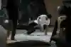 A b-boy in the cypher at the BC One pre qualifier in Bahrain 2015