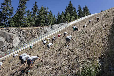 Participants - Red Bull 400 Whistler