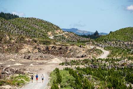 Ryan Sandes trains before the Tarawera Ultra Marathon in Rotorua, New Zealand