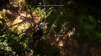 Uma captura de ecrã do Assassin's Creed Black Flag Resynced, que mostra uma cena de caça.