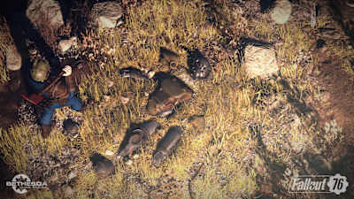 Screenshot of Fallout 76