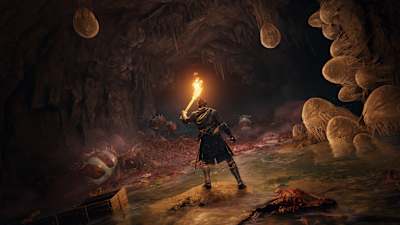 An image showing the Cave of Knowledge from the role-playing game Elden Ring.