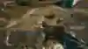 Loot this man's pants, for humankind