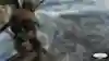 Een personage in Call Of Duty's Warzone kijkt uit over het landschap vanuit een vliegtuig. Staat klaar om uit het vliegtuig te springen.