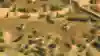 Image of the Byzantines civilisation in Age of Empires 2