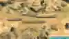 Image of the Mongols civilisation in Age of Empires 2