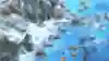 Image of the Vikings civilisation in Age of Empires 2